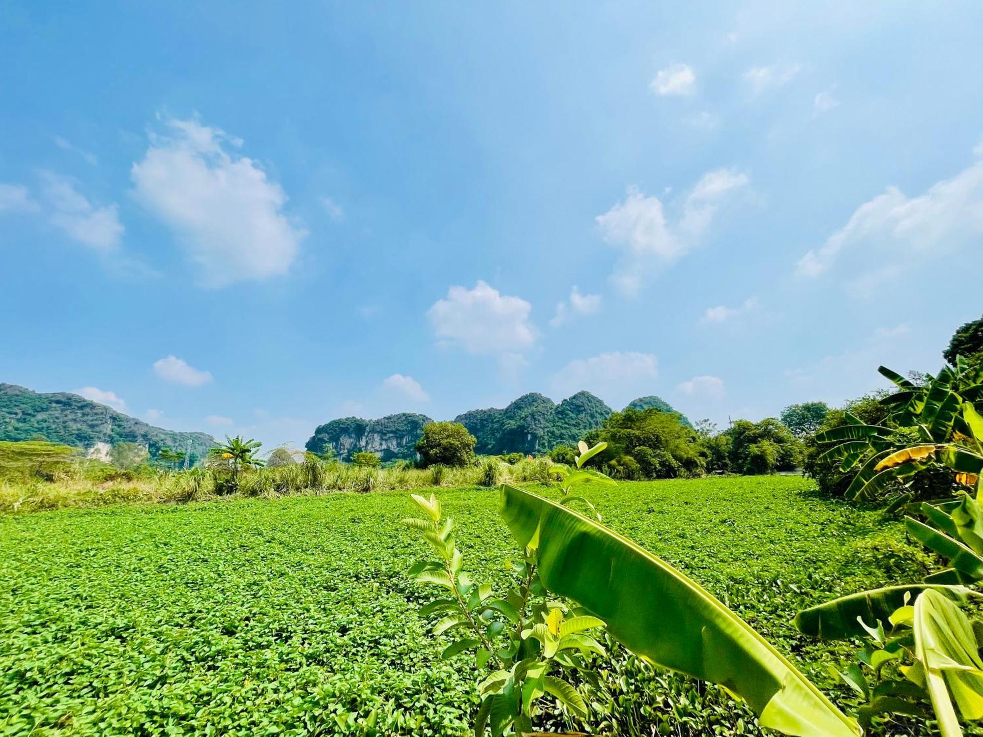 Trang An Lotus Lake Homestay Ninh Binh Eksteriør billede