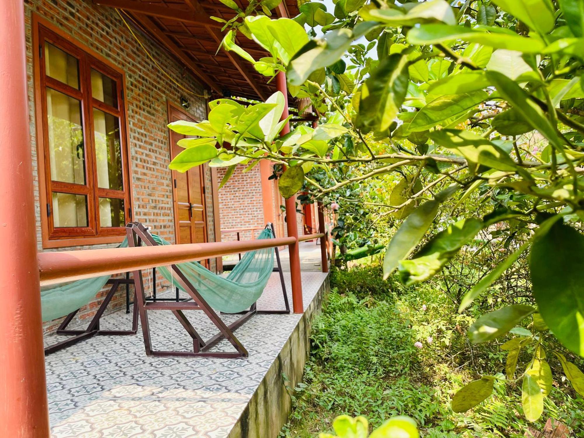 Trang An Lotus Lake Homestay Ninh Binh Eksteriør billede