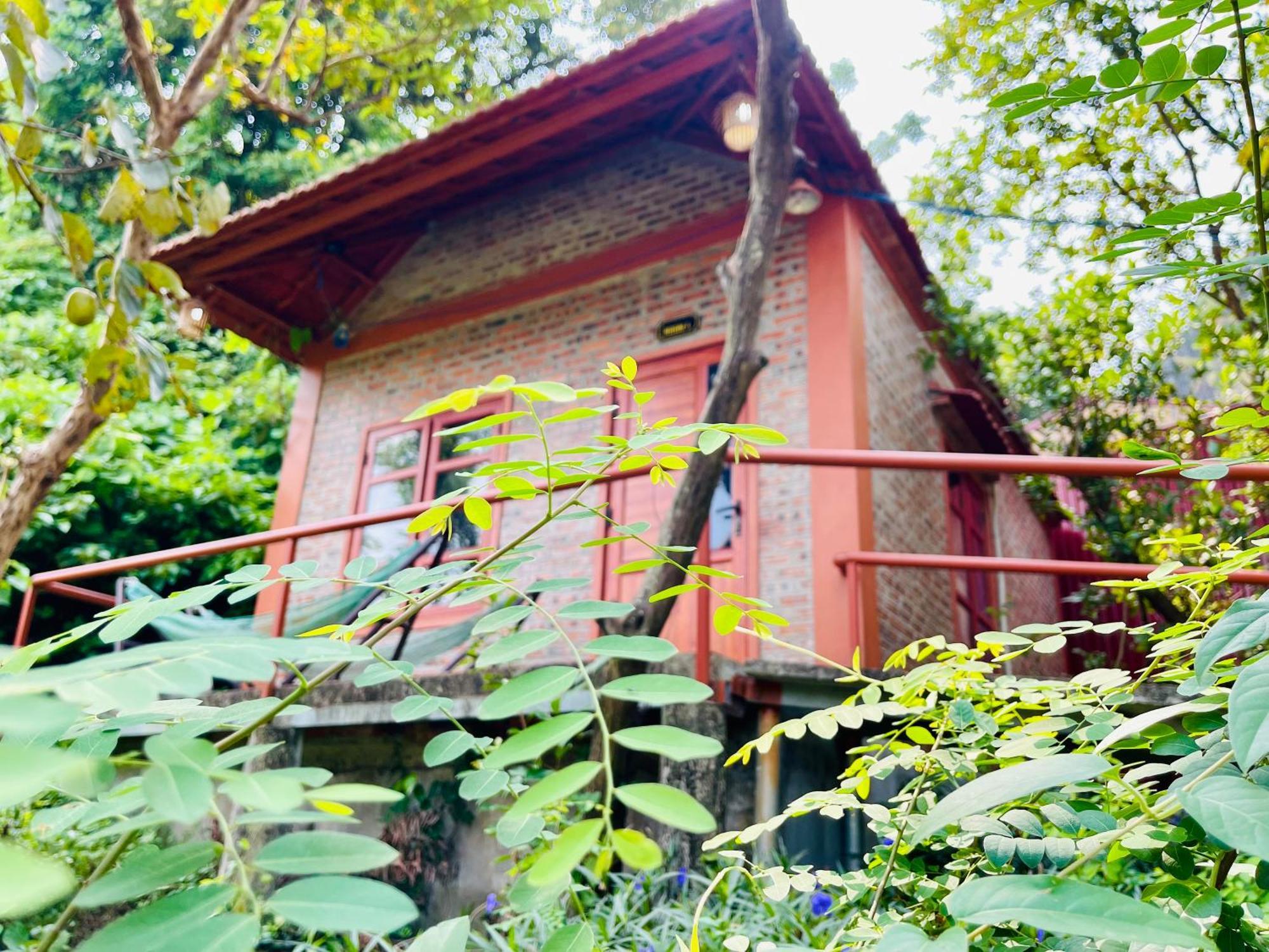 Trang An Lotus Lake Homestay Ninh Binh Eksteriør billede
