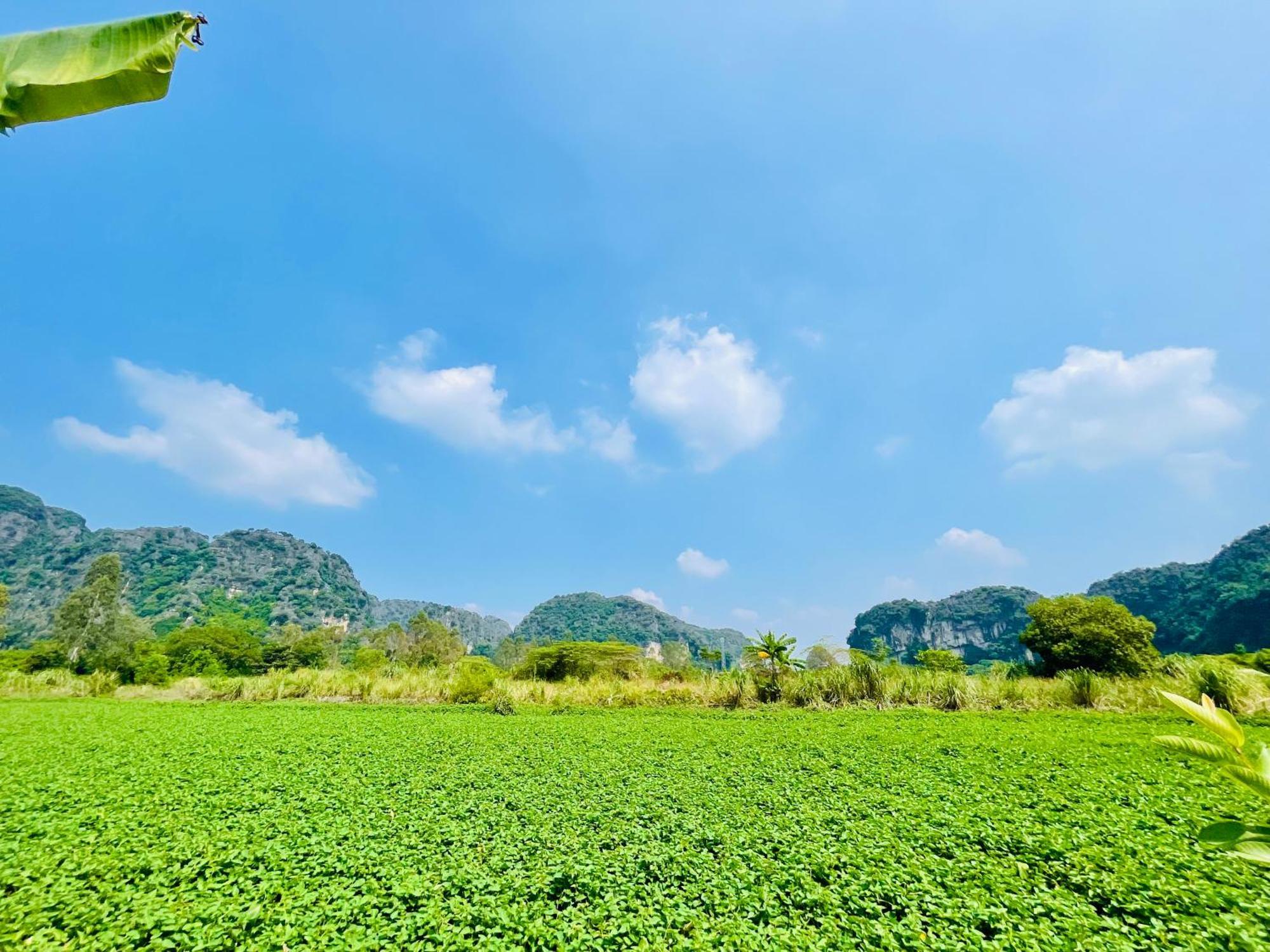 Trang An Lotus Lake Homestay Ninh Binh Eksteriør billede