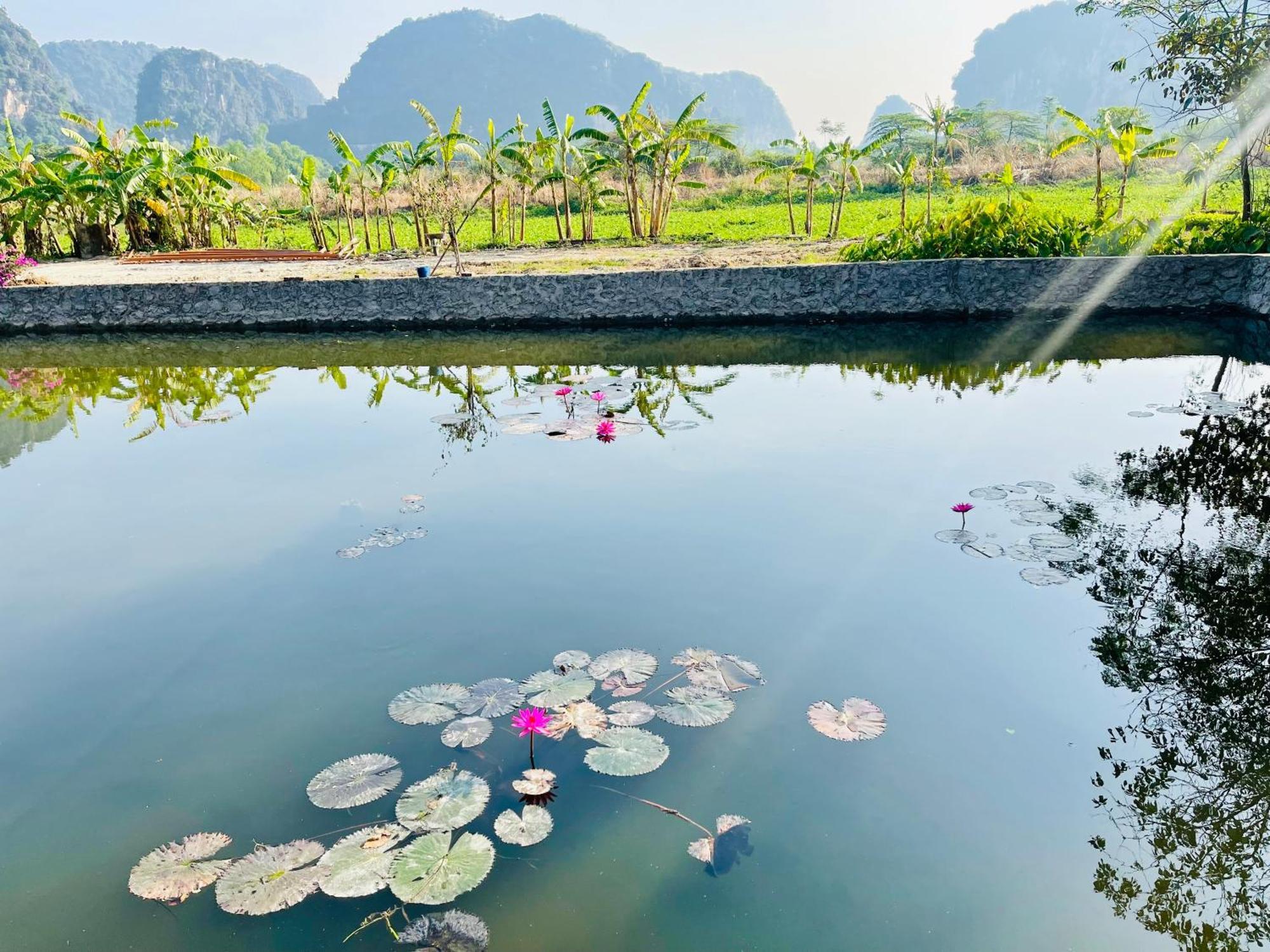 Trang An Lotus Lake Homestay Ninh Binh Eksteriør billede